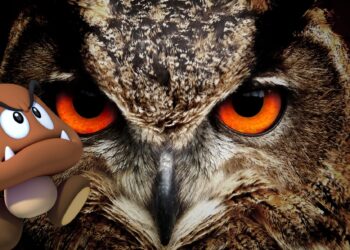 Goomby. Czy też nazywaliście je sowami?