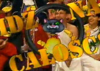 „Idź na całość”. Chajzer i podstępne koty za bramkami